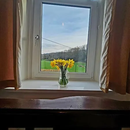 Sleeps 6. Free Wifi. Free Parking Central Location. Aberdare Exterior photo